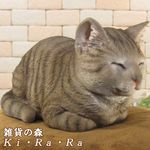 ǭ����ʪ������åȡ���Ȣ�¡����꡼�ס��֥饦�󥰥졼�������ǥ󡡥����ʥ��ȡ�Ź�ޡ������󥿡����������٥��������ȡ��ͥ����֥������ͤ����ե����奢�������ǥ˥󥰡�������