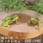 リアルなトカゲ カメの置物 オオトカゲ ゾウガメ 爬虫類 ドール