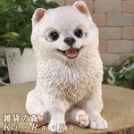 ������ʪ���ƥݥ��˥��󡡥ۥ磻�ȡ��ꥢ��ʸ�����ʪ�����¤� �Ҥ��̡������ǥ�ưʪ���֥����������ʥ��ȡ�Ź�ޡ������󥿡�������������ƥꥢ�������衡��