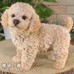 ������ʪ���ס��ɥ� ������� ���꡼�ࡡ�ꥢ��ʸ�����ʪ�����̡������ǥ�ưʪ���֥����������ʥ��ȡ�Ź�ޡ������󥿡�������������ƥꥢ�������衡��