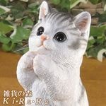 �ꥢ��ʥͥ�����ʪ�����󤪴ꤤ����åȡ������ۥ磻�ȡ����졼���ͤ��Υե����奢��ǭ���֥������������Υ���ƥꥢ�ˤ����Υ����ʥ��ȤȤ��Ƥ������
