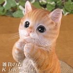 �ꥢ��ʥͥ�����ʪ�����󤪴ꤤ����åȡ���������ȥ顡�ͤ��Υե����奢��ǭ���֥������������Υ���ƥꥢ�ˤ����Υ����ʥ��ȤȤ��Ƥ������