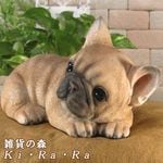 ������ʪ�������٤ꡡ�ե����֥�ɥå����ꥢ��ʤ��̤���ʪ���ե�֥롡���̤Υ��֥�����Ź�ޡ������������󥿡��������ǥ˥󥰡��٥���������
