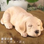 ������ʪ����֥�ɡ����ȥ�С������뿲�桡�ꥢ��ʤ��̤���ʪ�����֥�����Ź�ޡ������������󥿡��������ǥ˥󥰡��٥���������