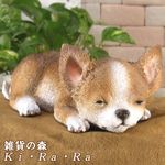 �����ꥢ��ʸ�����ʪ�������ȥ��ȡ��ͤ�ͤࡡ���̡����֥����������ǥ˥󥰡�Ź�ޡ������󥿡�������������ƥꥢ