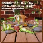 �ﵯʪ�Τ��������ʪ���ۤä��ꡢ����äȥꥢ��ʥ�����ե��ߥ꡼�����֥����������ǥ˥󥰡������ʥ���