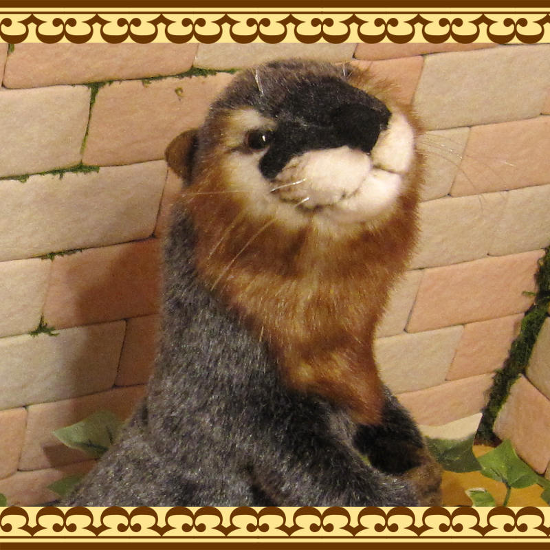 かわうそ タイプB リアルなカワウソのぬいぐるみ | かわいい動物