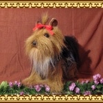 �衼������ƥꥢ���ꥢ��ʸ��Τ̤������