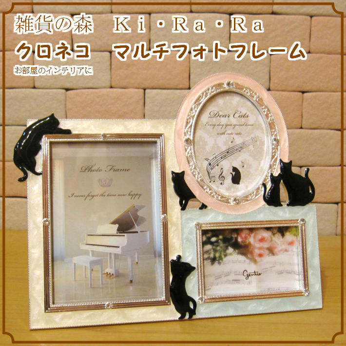 �ե졼���Ʃ�������ͤ����쥬��ȡ���ǭ������դΥե��ȥե졼�ࡡ�ޥ�����顼���������ͥ����å��������ͤ����֥���