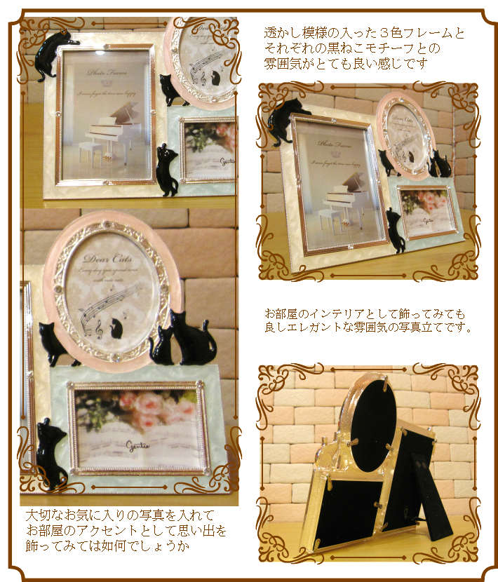 �ե졼���Ʃ�������ͤ����쥬��ȡ���ǭ������դΥե��ȥե졼�ࡡ�ޥ�����顼���������ͥ����å��������ͤ����֥���