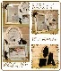 �ե졼���Ʃ�������ͤ����쥬��ȡ���ǭ������դΥե��ȥե졼�ࡡ�ޥ�����顼���������ͥ����å��������ͤ����֥���
