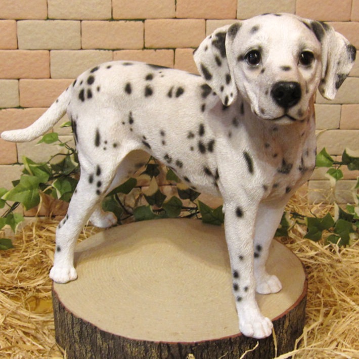 ʪ᥷󡡥ɡ顼礭ƥꥢʸʪ̤Υեɥå̡֥ʥȡ쥸ƫ