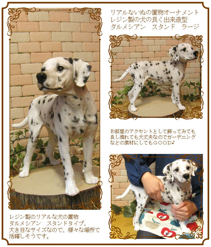 ʪ᥷󡡥ɡ顼礭ƥꥢʸʪ̤Υեɥå̡֥ʥȡ쥸ƫ