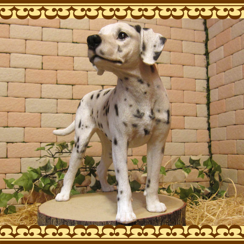 ʪ᥷󡡥ɡ顼礭ƥꥢʸʪ̤Υեɥå̡֥ʥȡ쥸ƫ