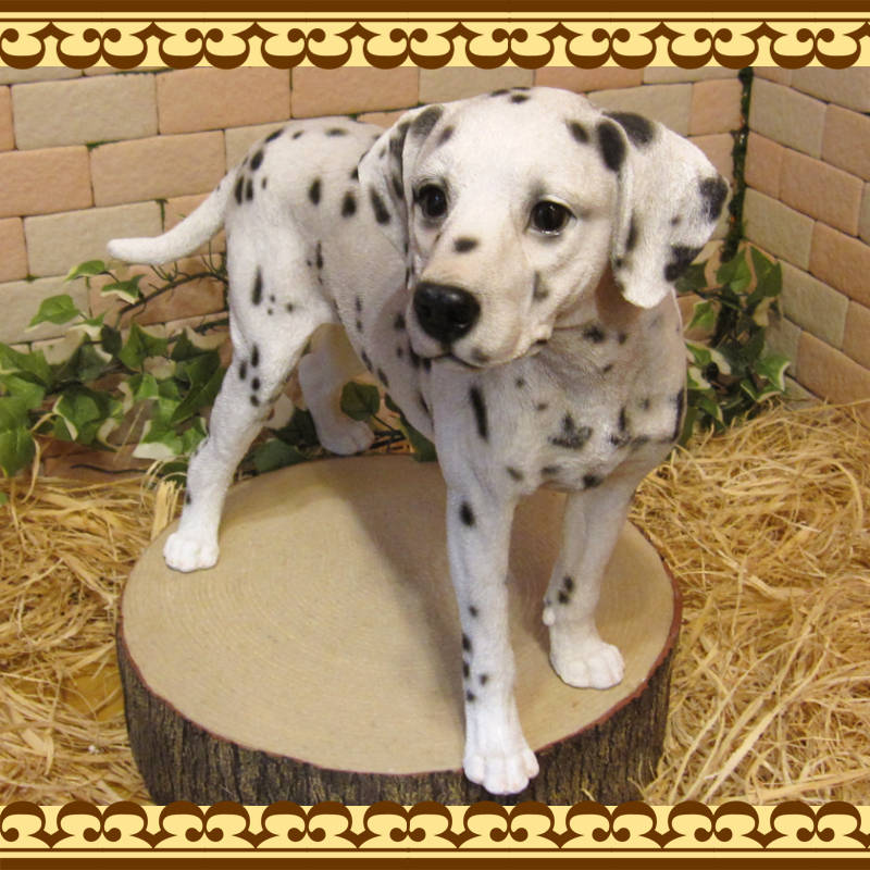 ʪ᥷󡡥ɡ顼礭ƥꥢʸʪ̤Υեɥå̡֥ʥȡ쥸ƫ