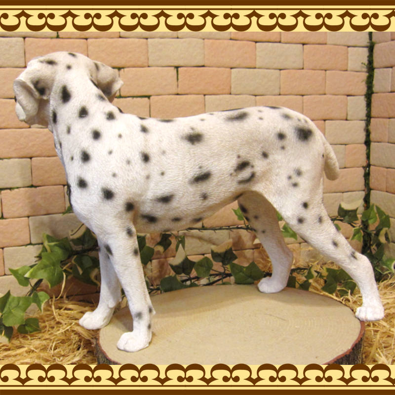 ʪ᥷󡡥ɡ顼礭ƥꥢʸʪ̤Υեɥå̡֥ʥȡ쥸ƫ