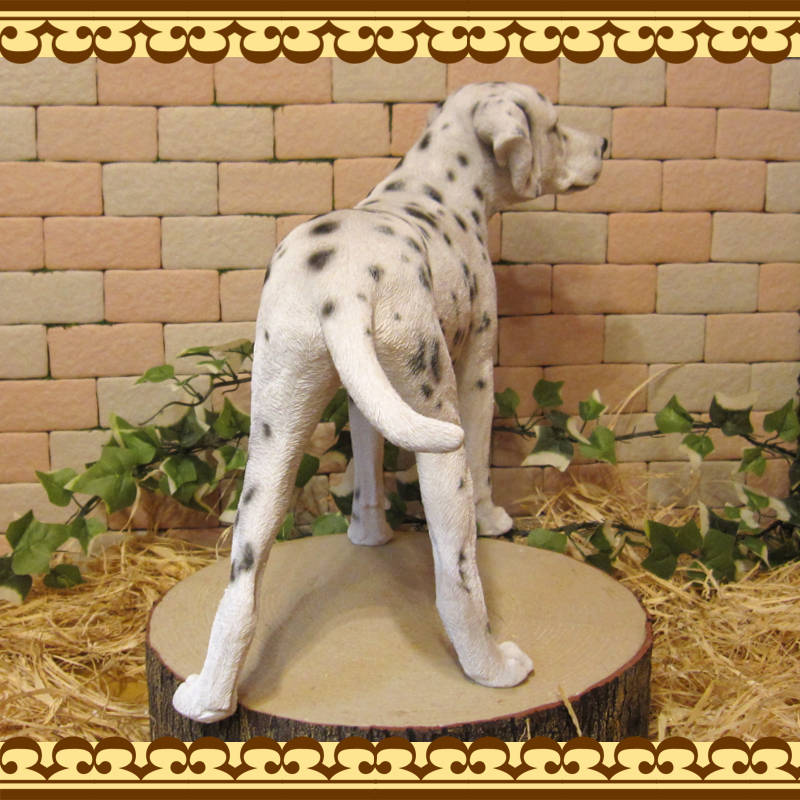 ʪ᥷󡡥ɡ顼礭ƥꥢʸʪ̤Υեɥå̡֥ʥȡ쥸ƫ