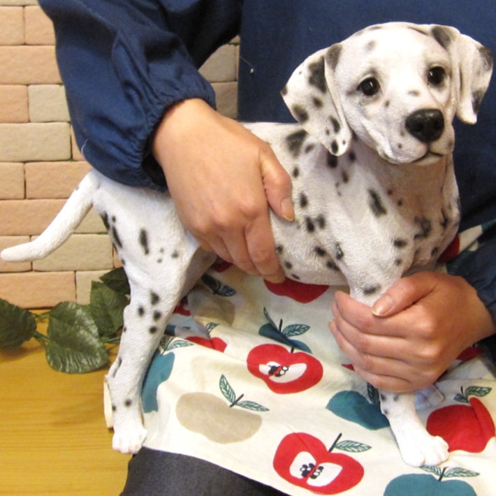 ʪ᥷󡡥ɡ顼礭ƥꥢʸʪ̤Υեɥå̡֥ʥȡ쥸ƫ