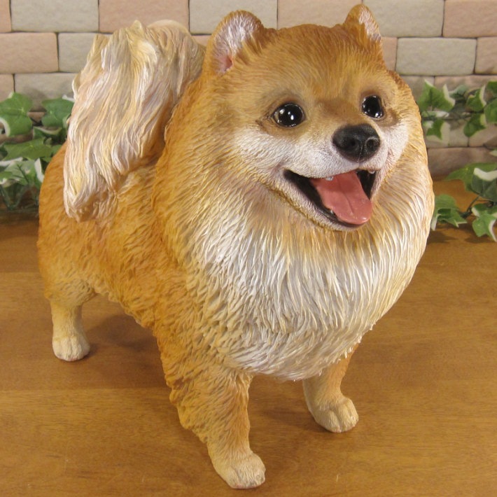 ������ʪ���ݥ��˥��󡡥�����ɥ����ס��顼�����������ꥢ�롡�ɥå������̡����̡�ưʪ���֥����������ǥ󥪡��ʥ��ȡ�Ź�ޡ������󥿡���������������ա�����ƥꥢ