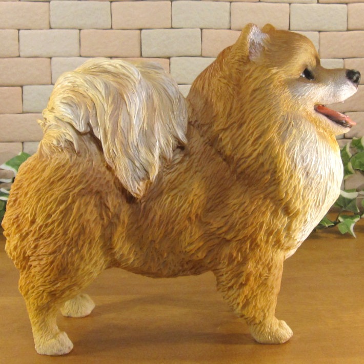 ������ʪ���ݥ��˥��󡡥�����ɥ����ס��顼�����������ꥢ�롡�ɥå������̡����̡�ưʪ���֥����������ǥ󥪡��ʥ��ȡ�Ź�ޡ������󥿡���������������ա�����ƥꥢ