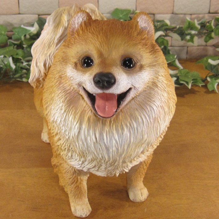 ������ʪ���ݥ��˥��󡡥�����ɥ����ס��顼�����������ꥢ�롡�ɥå������̡����̡�ưʪ���֥����������ǥ󥪡��ʥ��ȡ�Ź�ޡ������󥿡���������������ա�����ƥꥢ