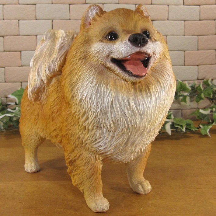 ������ʪ���ݥ��˥��󡡥�����ɥ����ס��顼�����������ꥢ�롡�ɥå������̡����̡�ưʪ���֥����������ǥ󥪡��ʥ��ȡ�Ź�ޡ������󥿡���������������ա�����ƥꥢ