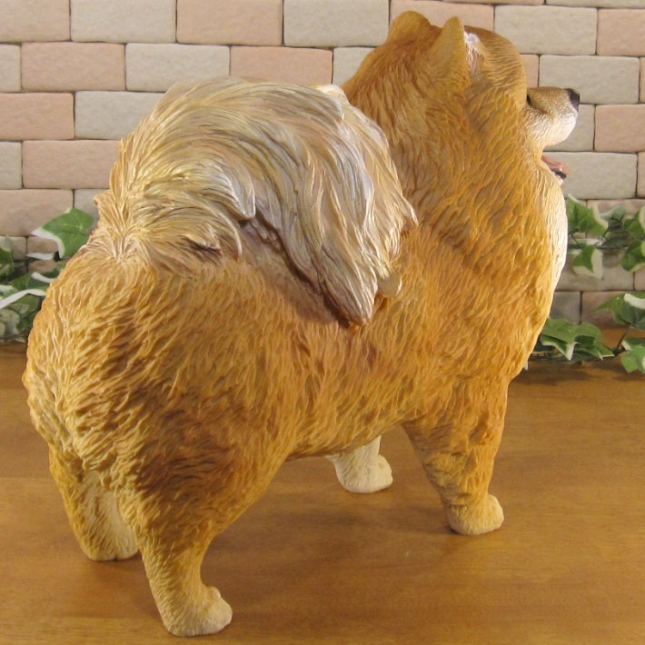 ������ʪ���ݥ��˥��󡡥�����ɥ����ס��顼�����������ꥢ�롡�ɥå������̡����̡�ưʪ���֥����������ǥ󥪡��ʥ��ȡ�Ź�ޡ������󥿡���������������ա�����ƥꥢ