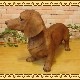 ���������Υ���ƥꥢ�ˤ����Υ����ʥ��ȤȤ��Ƥ�����礭���ƥꥢ��ʸ�����ʪ�����å����ե�ȡ��ӥå����������֥饦�󡡤��̤Υե�����