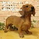 ���������Υ���ƥꥢ�ˤ����Υ����ʥ��ȤȤ��Ƥ�����礭���ƥꥢ��ʸ�����ʪ�����å����ե�ȡ��ӥå����������֥饦�󡡤��̤Υե�����