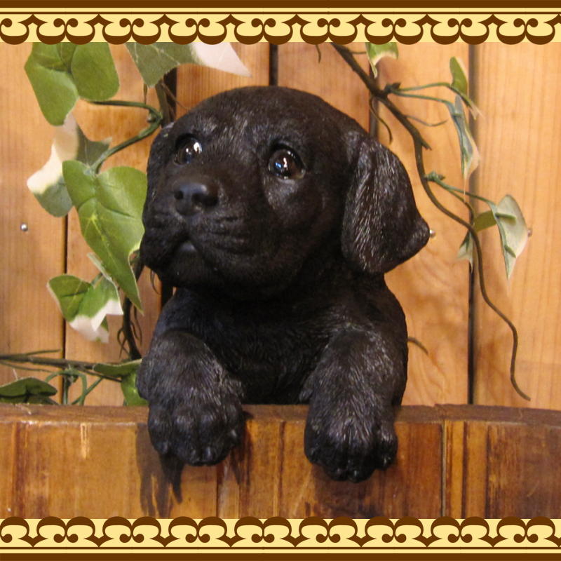 ��֥�ɡ����ȥ�С����֥�å����ꥢ��ʸ�����ʪ���֤餵����ɥå������̤Υե��������������Υ���ƥꥢ�ˤ����Υ����ʥ��ȤȤ��Ƥ��