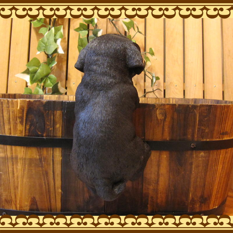 ��֥�ɡ����ȥ�С����֥�å����ꥢ��ʸ�����ʪ���֤餵����ɥå������̤Υե��������������Υ���ƥꥢ�ˤ����Υ����ʥ��ȤȤ��Ƥ��