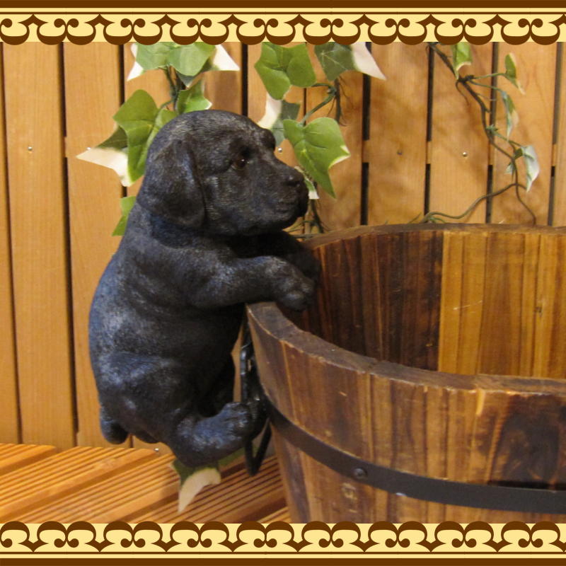 ��֥�ɡ����ȥ�С����֥�å����ꥢ��ʸ�����ʪ���֤餵����ɥå������̤Υե��������������Υ���ƥꥢ�ˤ����Υ����ʥ��ȤȤ��Ƥ��