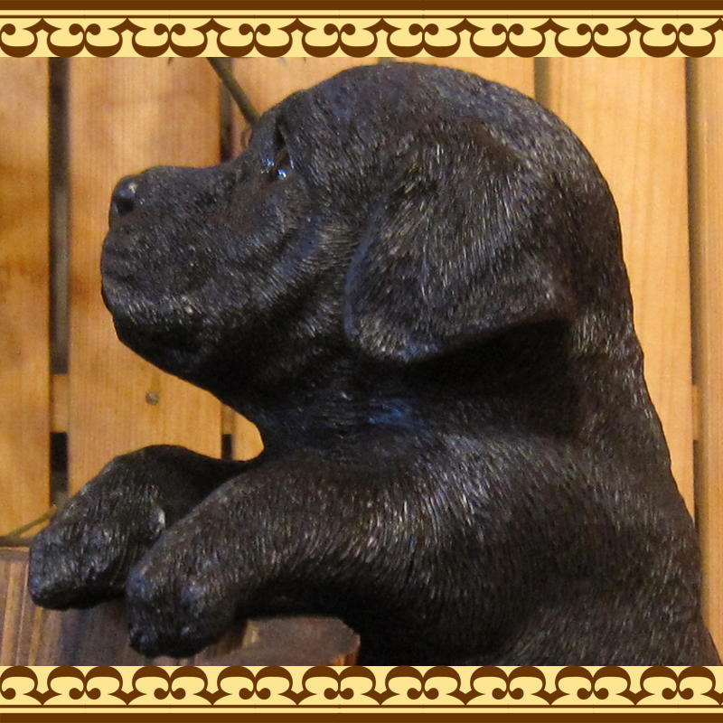 ��֥�ɡ����ȥ�С����֥�å����ꥢ��ʸ�����ʪ���֤餵����ɥå������̤Υե��������������Υ���ƥꥢ�ˤ����Υ����ʥ��ȤȤ��Ƥ��