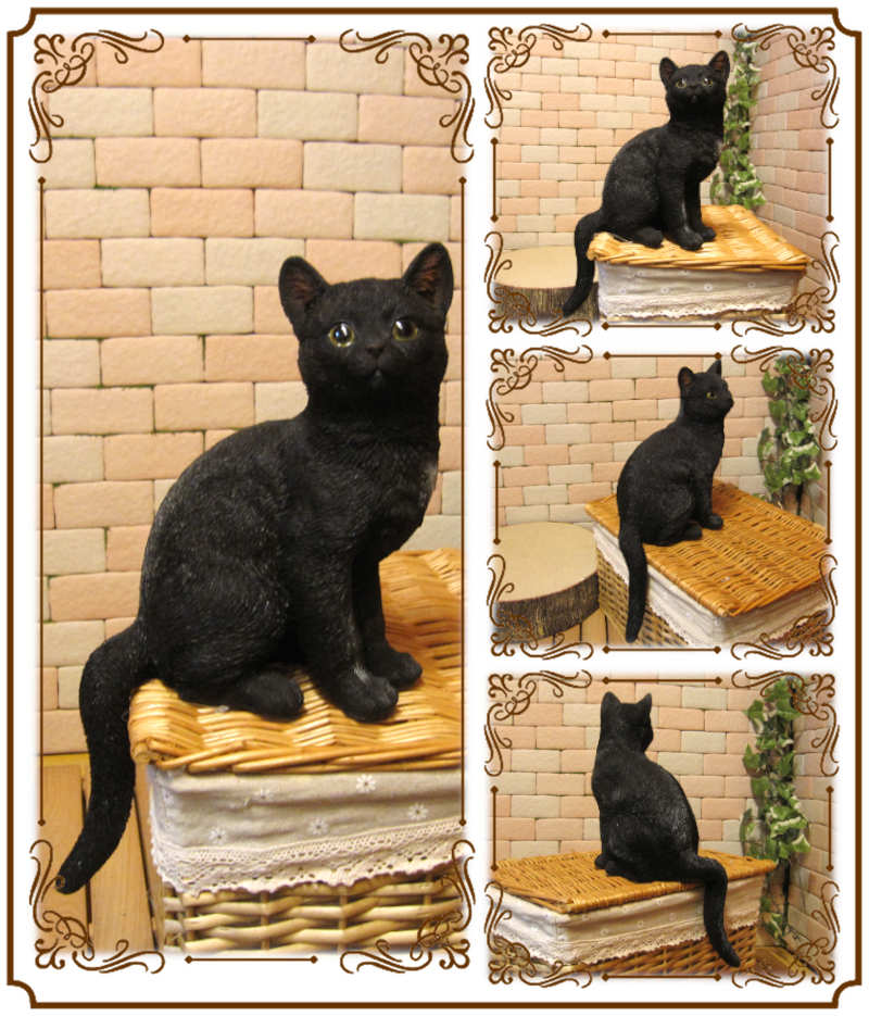�ꥢ��ʥͥ�����ʪ�����¤ꥭ��åȡ��֥�å��������ͤ��Υե����奢����ǭ���֥������������Υ���ƥꥢ�ˤ����Υ����ʥ��ȤȤ���