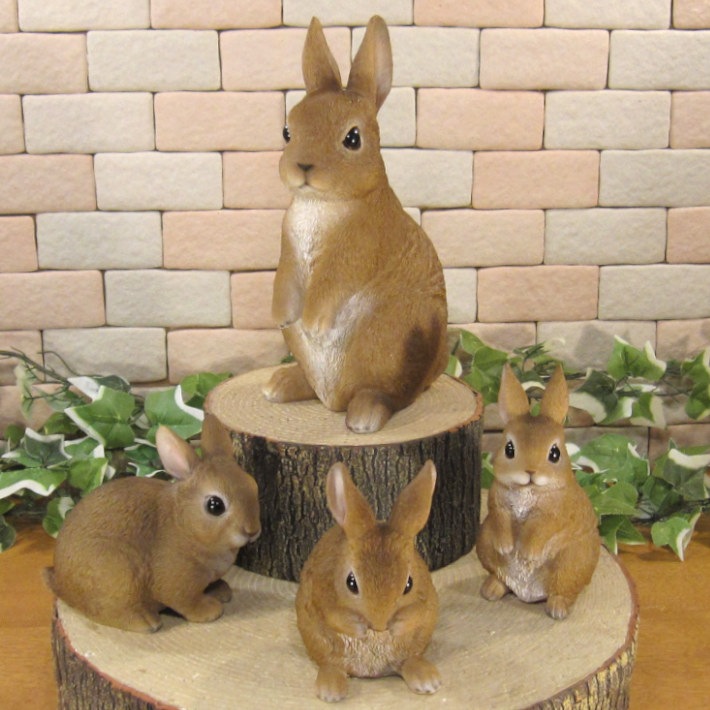 �ꥢ��ʤ���������ʪ����ӥåȡ��ե��ߥ꡼�������������Υ��åȡ��Хˡ�����ӥåȡ����֥����������ǥ˥󥰡�Ź�������������󥿡�������ƥꥢ