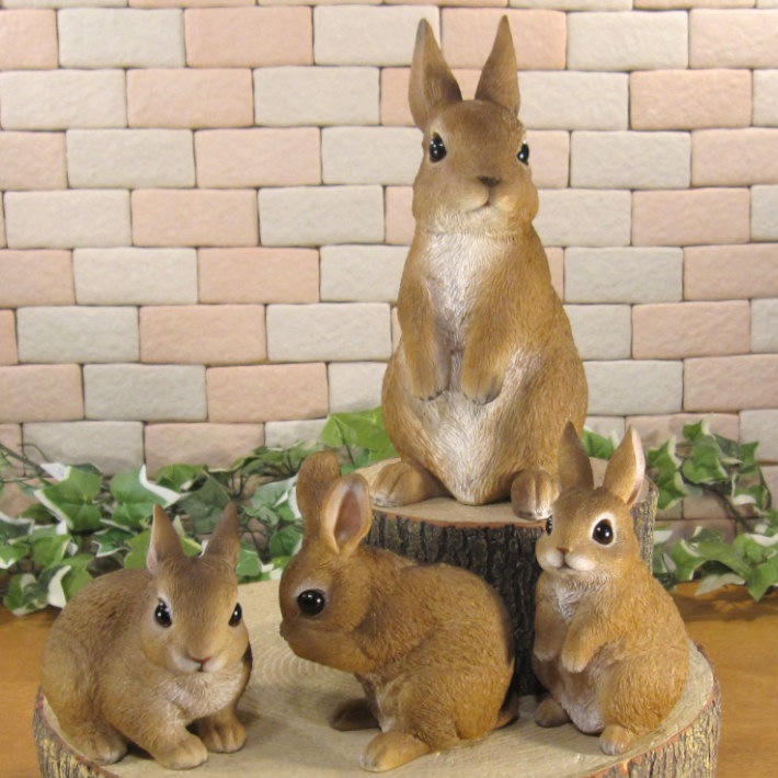 �ꥢ��ʤ���������ʪ����ӥåȡ��ե��ߥ꡼�������������Υ��åȡ��Хˡ�����ӥåȡ����֥����������ǥ˥󥰡�Ź�������������󥿡�������ƥꥢ