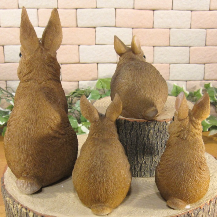 �ꥢ��ʤ���������ʪ����ӥåȡ��ե��ߥ꡼�������������Υ��åȡ��Хˡ�����ӥåȡ����֥����������ǥ˥󥰡�Ź�������������󥿡�������ƥꥢ