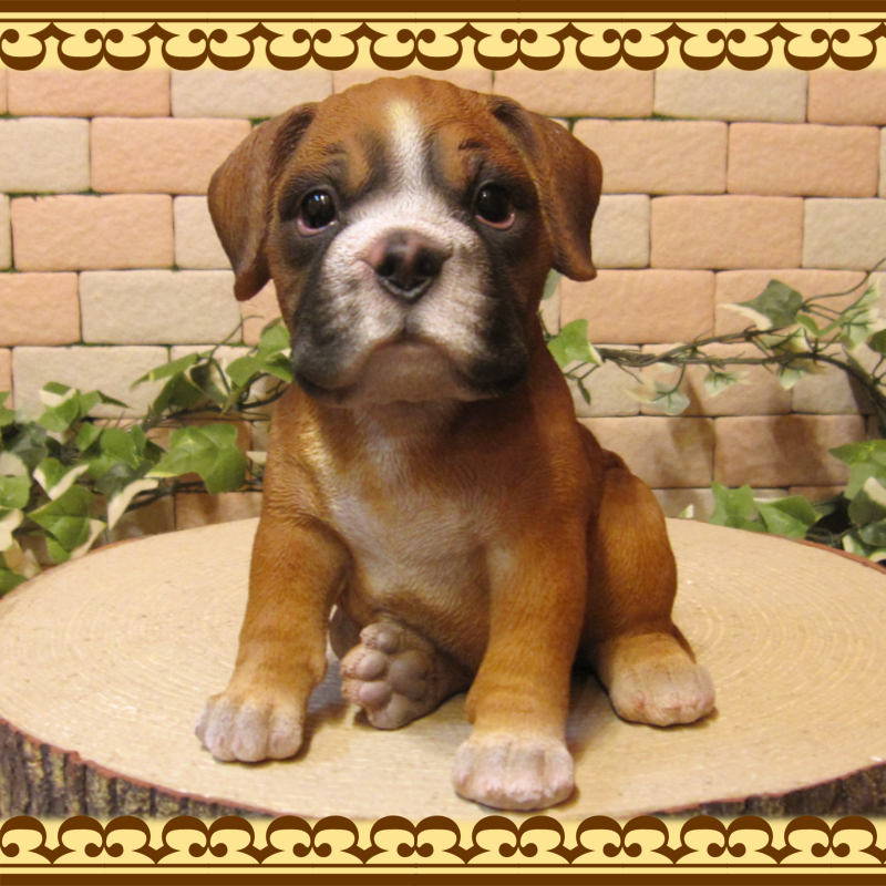 ���������Υ���ƥꥢ�ˤ����Υ����ʥ��ȤȤ��Ƥ�����ꥢ��ʸ�����ʪ���ܥ��������Ҹ������¤꥿���ס����Ҹ��Υե�����