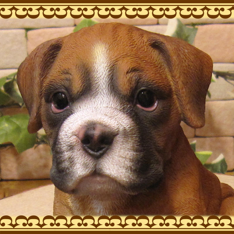 ���������Υ���ƥꥢ�ˤ����Υ����ʥ��ȤȤ��Ƥ�����ꥢ��ʸ�����ʪ���ܥ��������Ҹ������¤꥿���ס����Ҹ��Υե�����