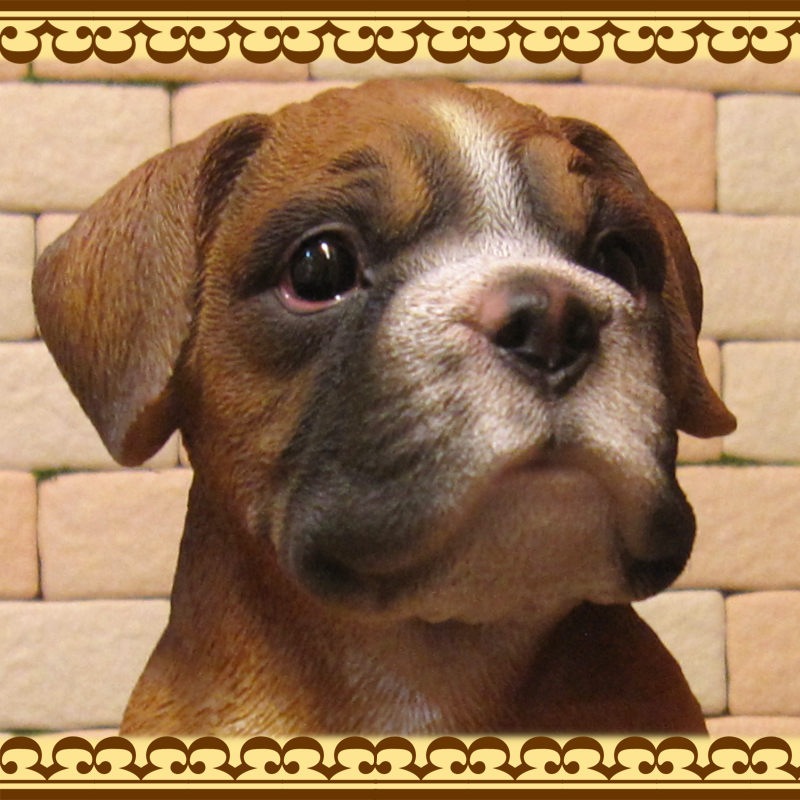 ���������Υ���ƥꥢ�ˤ����Υ����ʥ��ȤȤ��Ƥ�����ꥢ��ʸ�����ʪ���ܥ��������Ҹ������¤꥿���ס����Ҹ��Υե�����