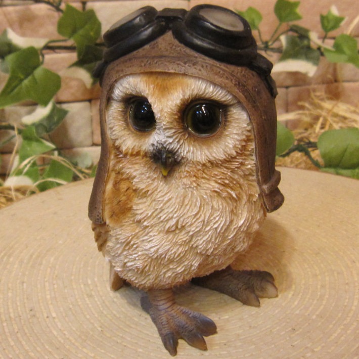 ꥢĻʪǥդ¥ס㡡եΥե奢ΥƥꥢˤΥʥȤȤƤ