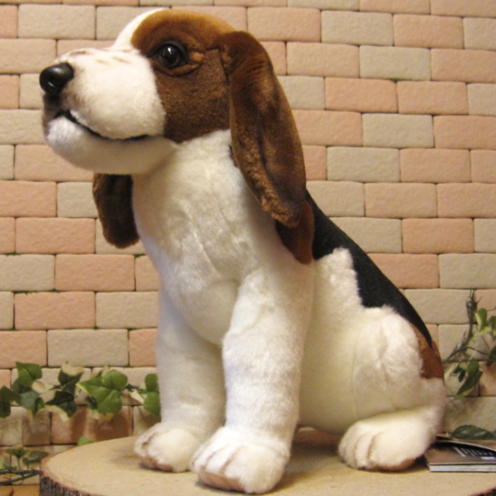 �ӡ����븤���ɥå����ꥢ��ʸ��Τ̤�����ߡ����̡����̡�����ƥꥢ�����֥�������ʪ����դ��