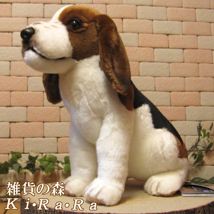 �ӡ����븤���ɥå����ꥢ��ʸ��Τ̤�����ߡ����̡����̡�����ƥꥢ�����֥�������ʪ����դ��