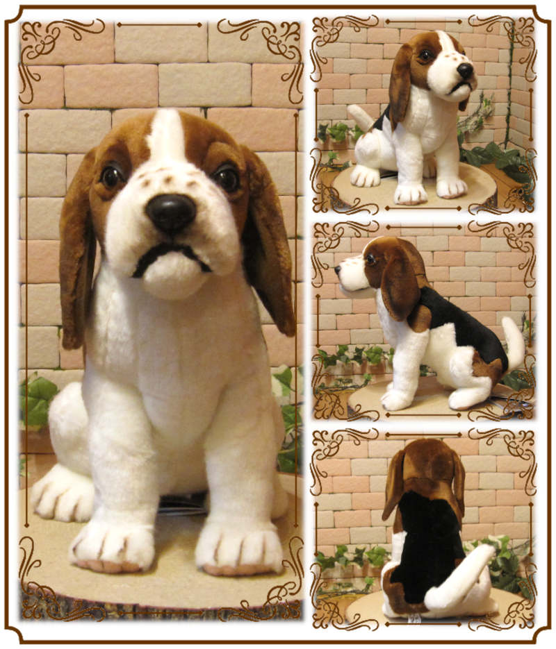 �ӡ����븤���ɥå����ꥢ��ʸ��Τ̤�����ߡ����̡����̡�����ƥꥢ�����֥�������ʪ����դ��