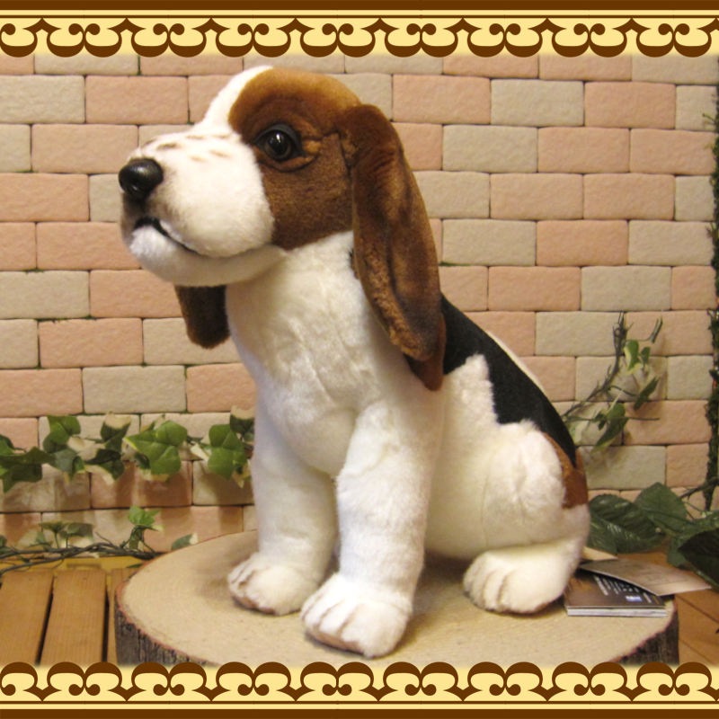 �ӡ����븤���ɥå����ꥢ��ʸ��Τ̤�����ߡ����̡����̡�����ƥꥢ�����֥�������ʪ����դ��