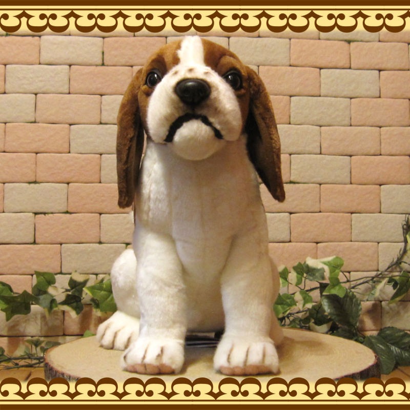 �ӡ����븤���ɥå����ꥢ��ʸ��Τ̤�����ߡ����̡����̡�����ƥꥢ�����֥�������ʪ����դ��