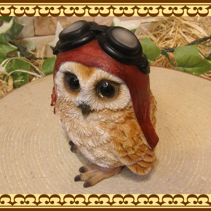 �ꥢ���Ļ����ʪ������ǥ����դ��������å����ס��֡��ե������Υե����奢�����������Υ���ƥꥢ�ˤ����Υ����ʥ��ȤȤ��Ƥ�