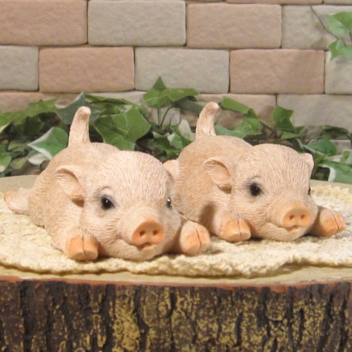 �Ҥ֤����ꥢ����ڤ���ʪ���ߥ˥ĥ��󡡥֡������Υ��åȡ��֥������֥����������ǥ˥󥰡�Ź�������������󥿡�������ƥꥢ�������ǥ󡡥٥��������ȡ�