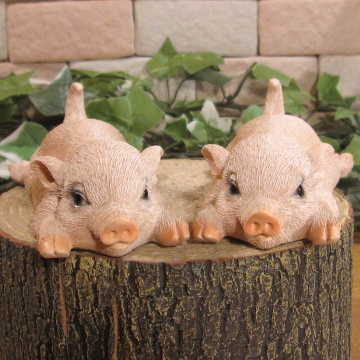 �Ҥ֤����ꥢ����ڤ���ʪ���ߥ˥ĥ��󡡥֡������Υ��åȡ��֥������֥����������ǥ˥󥰡�Ź�������������󥿡�������ƥꥢ�������ǥ󡡥٥��������ȡ�