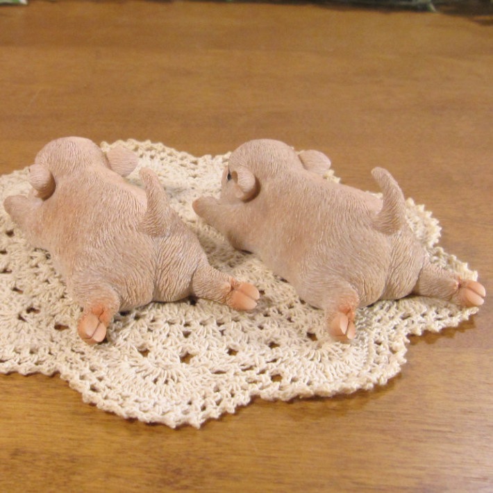 �Ҥ֤����ꥢ����ڤ���ʪ���ߥ˥ĥ��󡡥֡������Υ��åȡ��֥������֥����������ǥ˥󥰡�Ź�������������󥿡�������ƥꥢ�������ǥ󡡥٥��������ȡ�